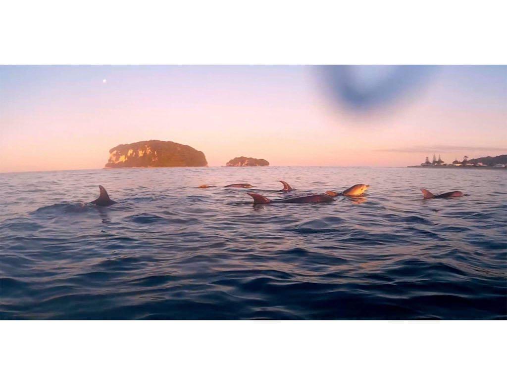 Estuary Retreat Whangamata Ngoại thất bức ảnh