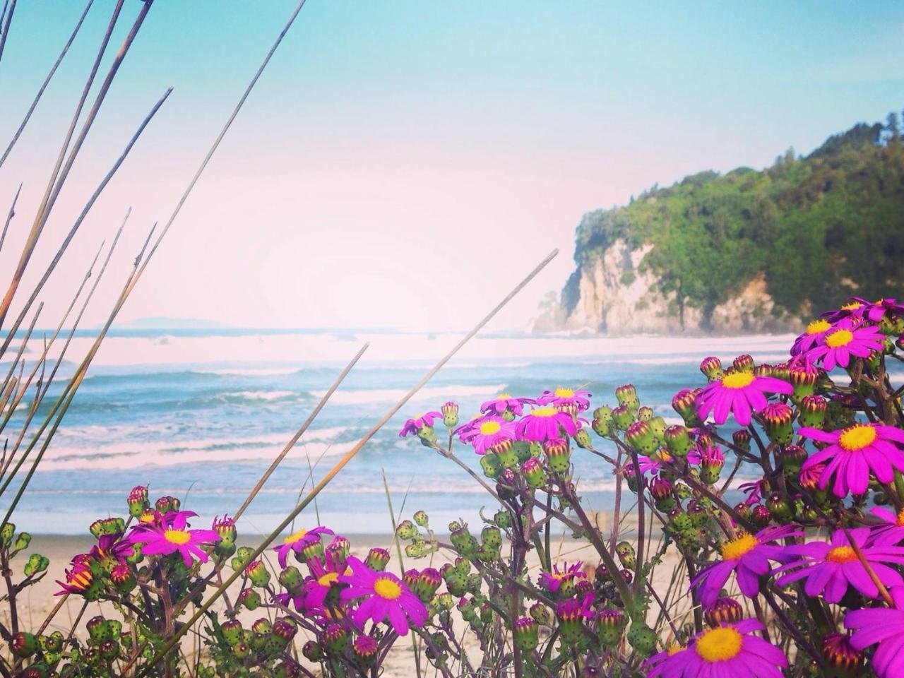 Estuary Retreat Whangamata Ngoại thất bức ảnh